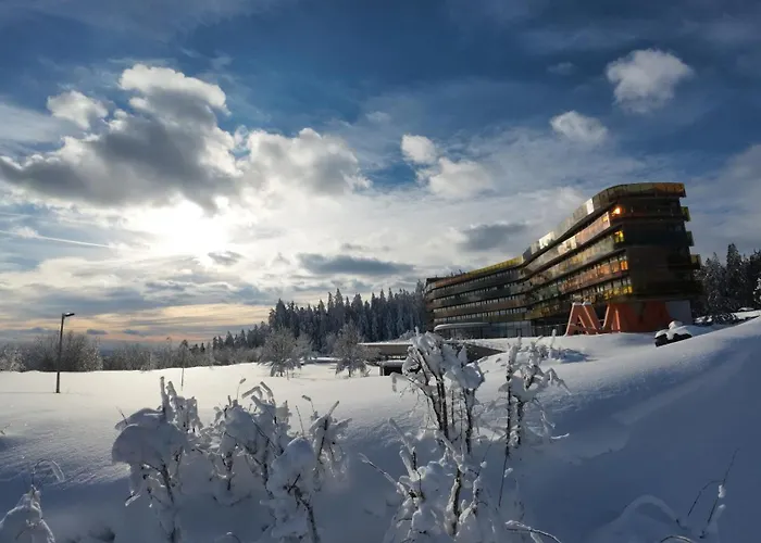 Aviva - Fuer Singles & Alleinreisende