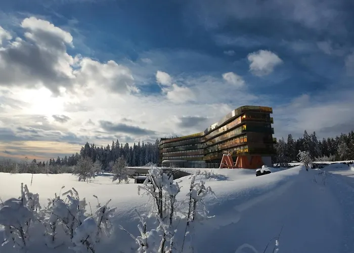 Hotel Aviva - Fuer Singles & Alleinreisende Afiesl