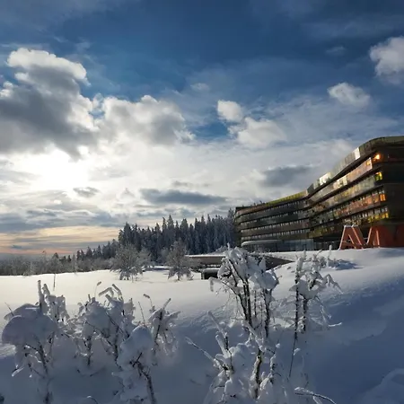 Aviva - Fuer Singles & Alleinreisende