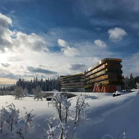 Hotel Aviva - Fuer Singles & Alleinreisende Afiesl