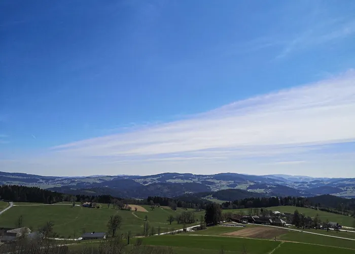 Aviva - Fuer Singles & Alleinreisende 酒店