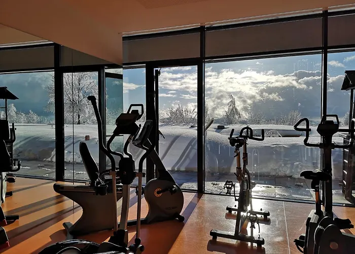 酒店 Aviva - Fuer Singles & Alleinreisende